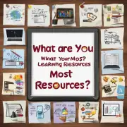 您最常用的学习资源是什么?